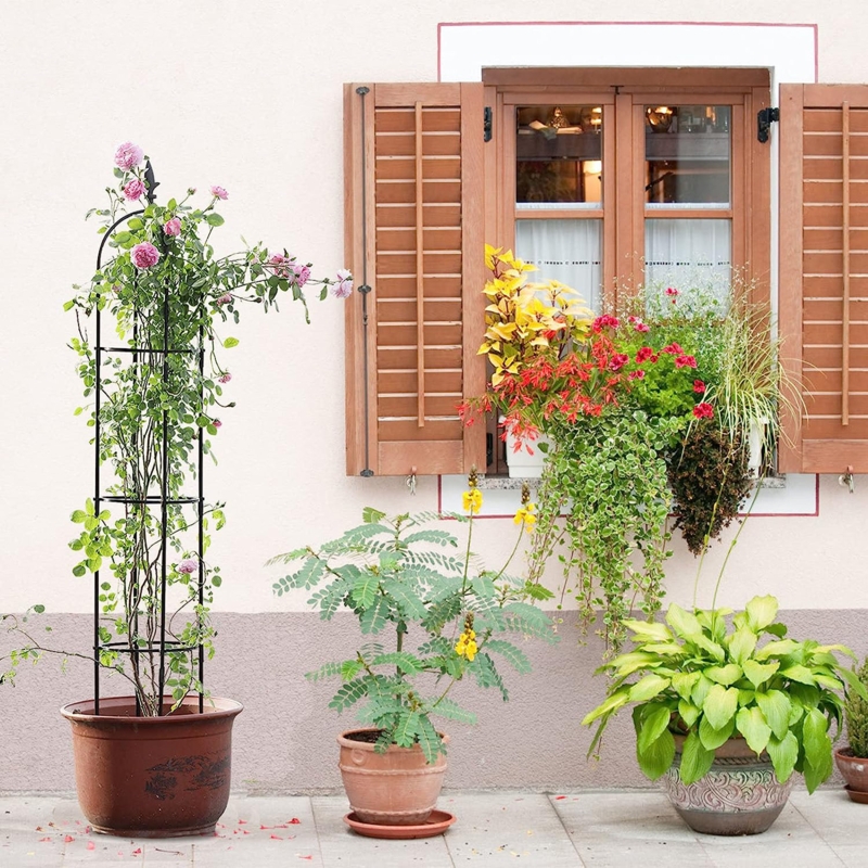 Mehmud 67'' H x 12'' W Plastic Obelisk Trellis