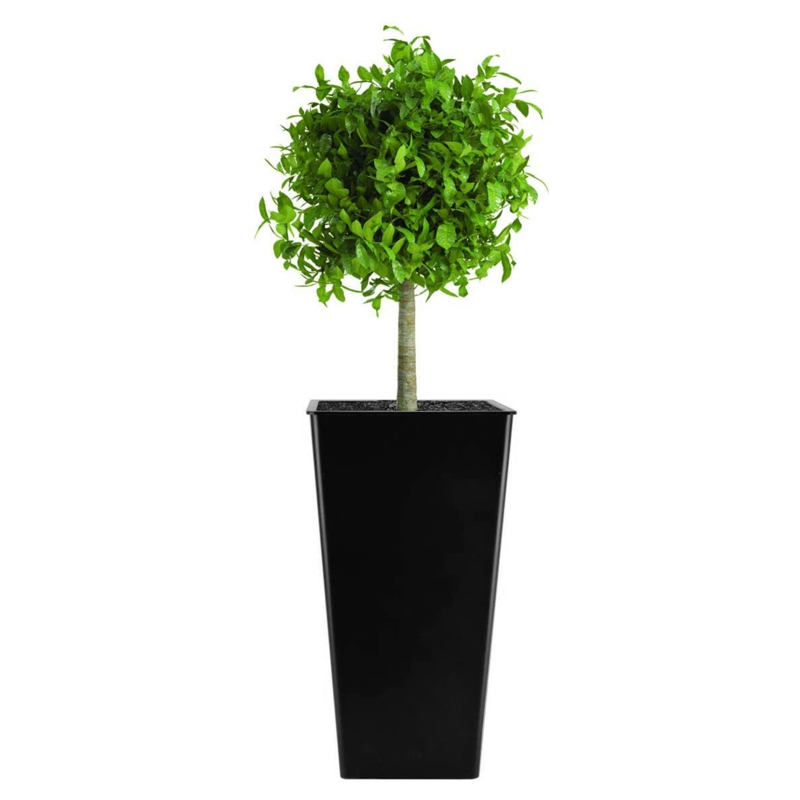 Pot Planter