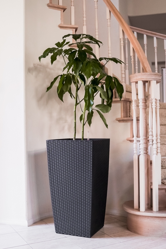 Self-Watering Pot Planter