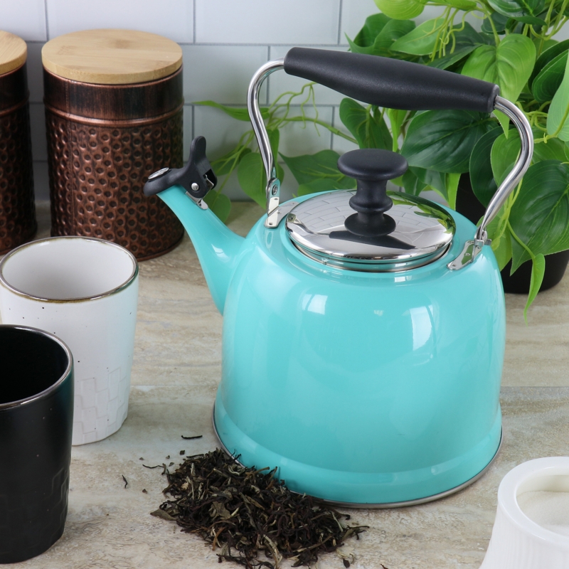 2.2 Quart Stainless Steel Tea Kettle in Teal | Foter