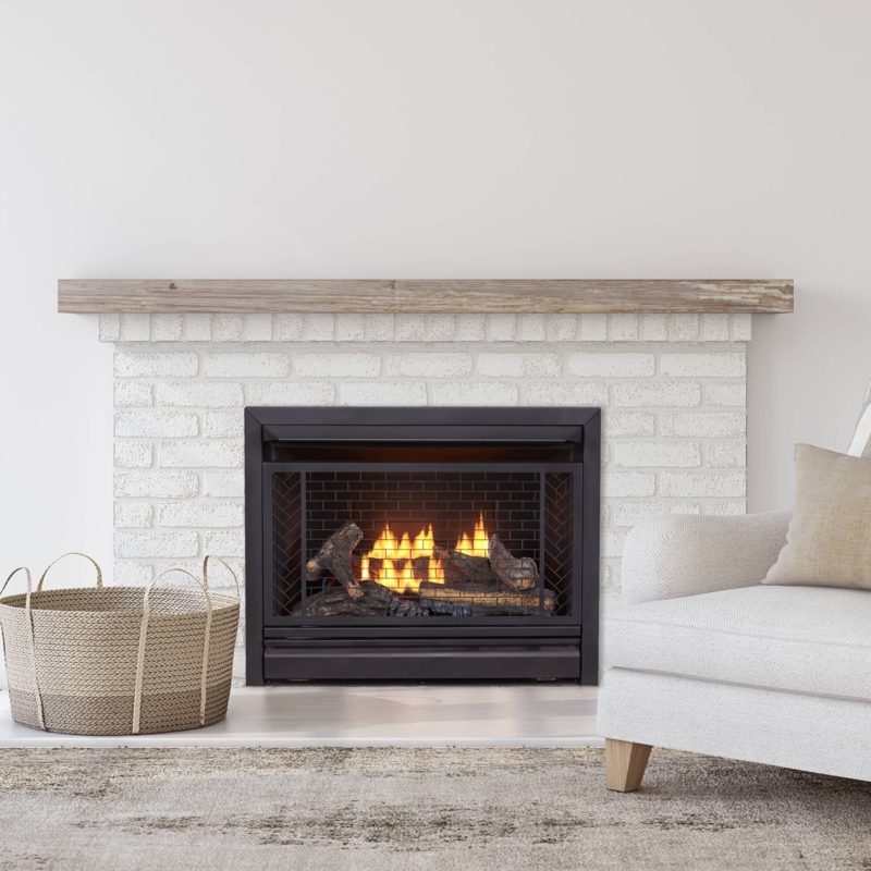 29.1'' W Ventless Natural Gas / Propane Fireplace Insert