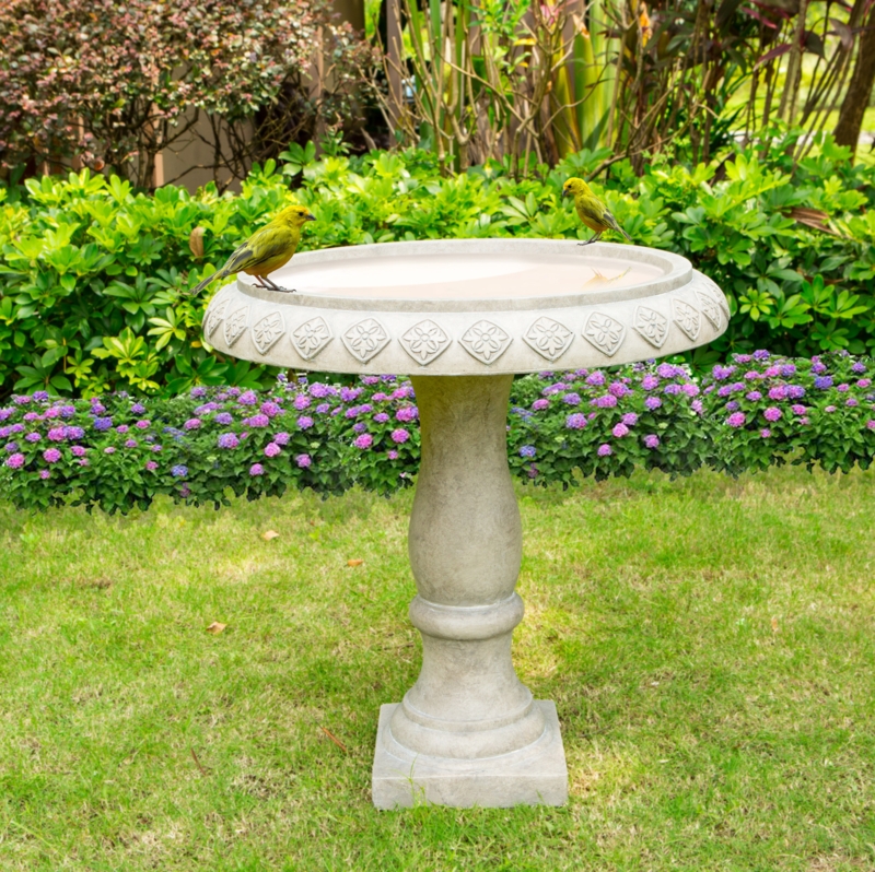 Unique Bird Baths - Foter