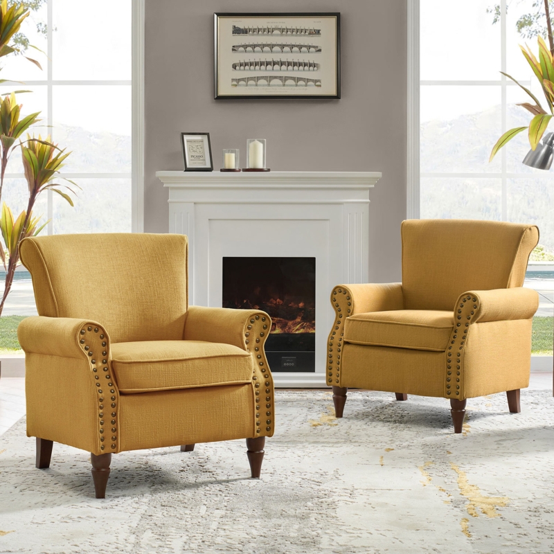 Asul 30" W Polyester Armchair