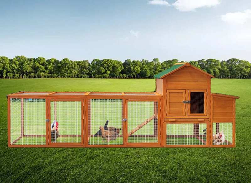 Chaaya 21.85 Square Feet Walk In Chicken Run For Up To 2 Chickens