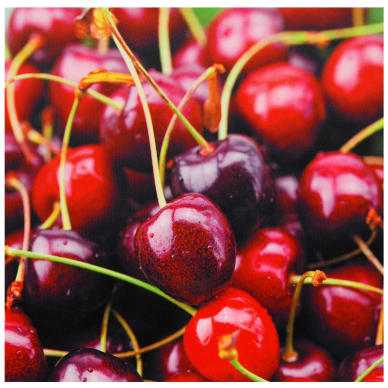 Cherries - Photograph on Canvas