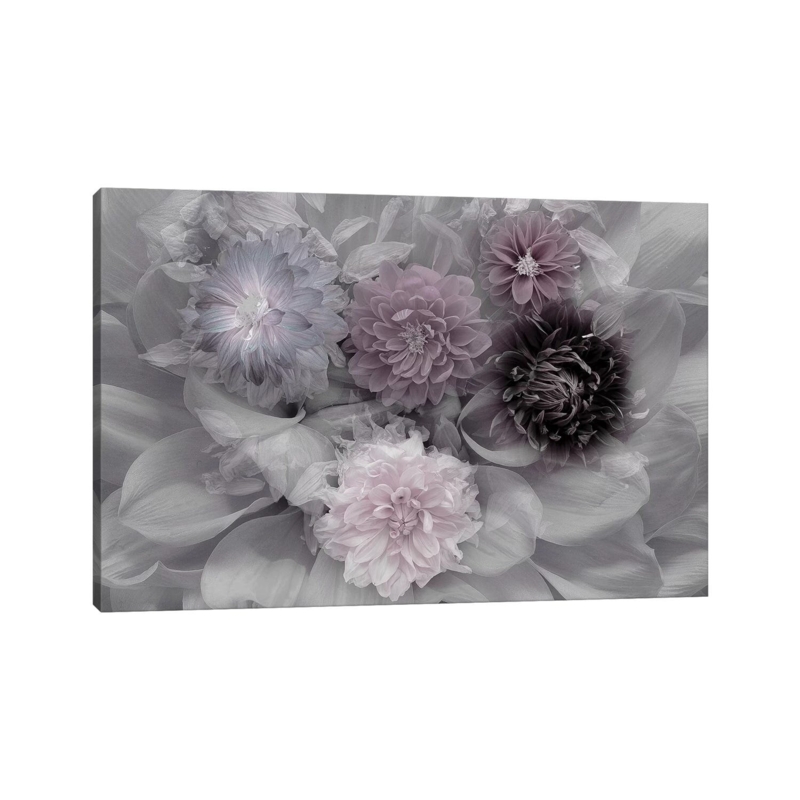 Dahlia Dream by Inge Schuster - Wrapped Canvas Photograph Print