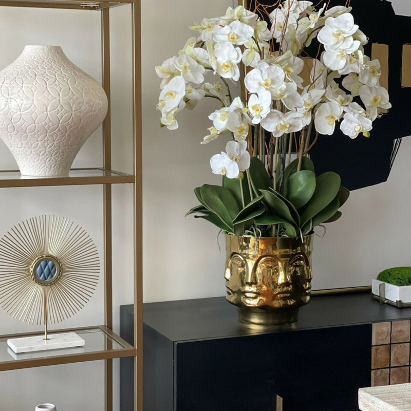 Orchid Arrangement in Vase