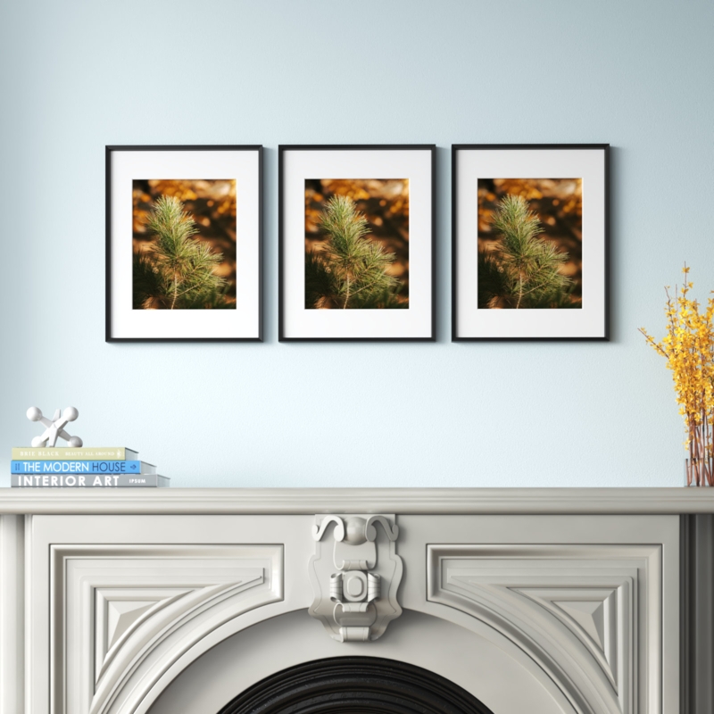 Rogowski Metal Picture Frame - Set of 3
