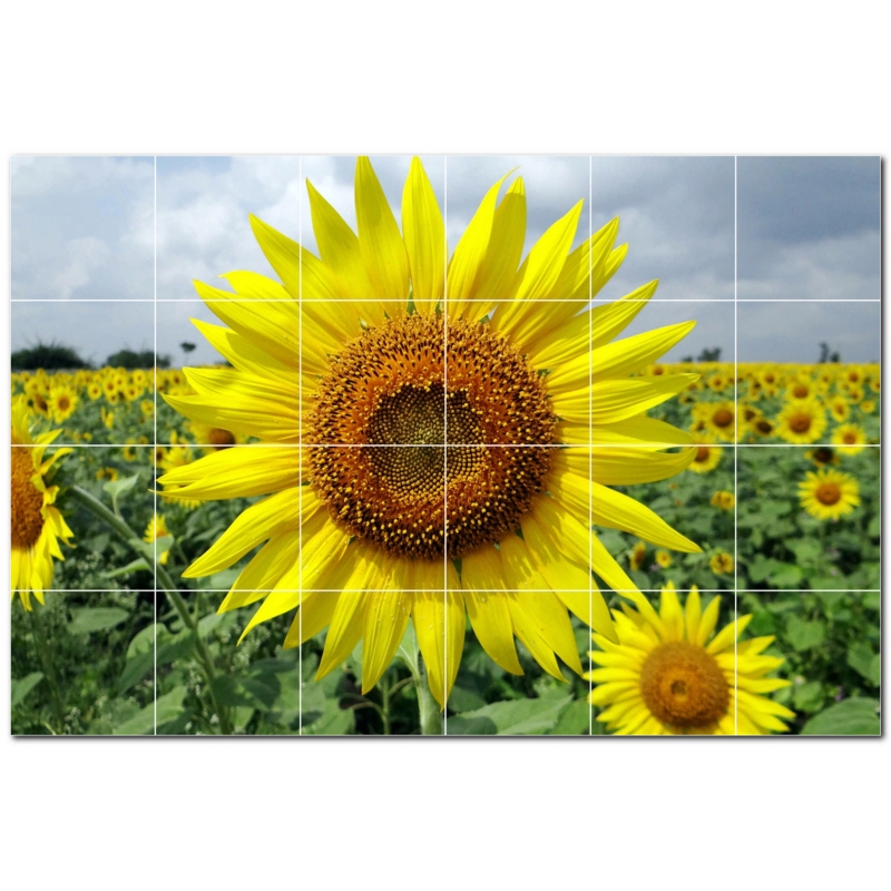 12'' x 12'' Satin Ceramic Decorative Mural