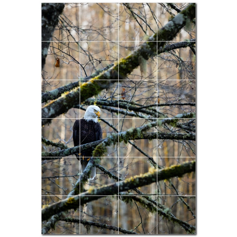 Bird Photo 8'' x 8'' Satin Ceramic Decorative Mural