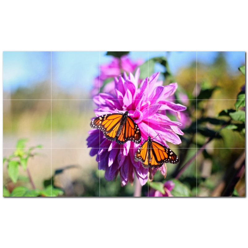 Butterfly Photo 12'' x 12'' Satin Ceramic Decorative Mural