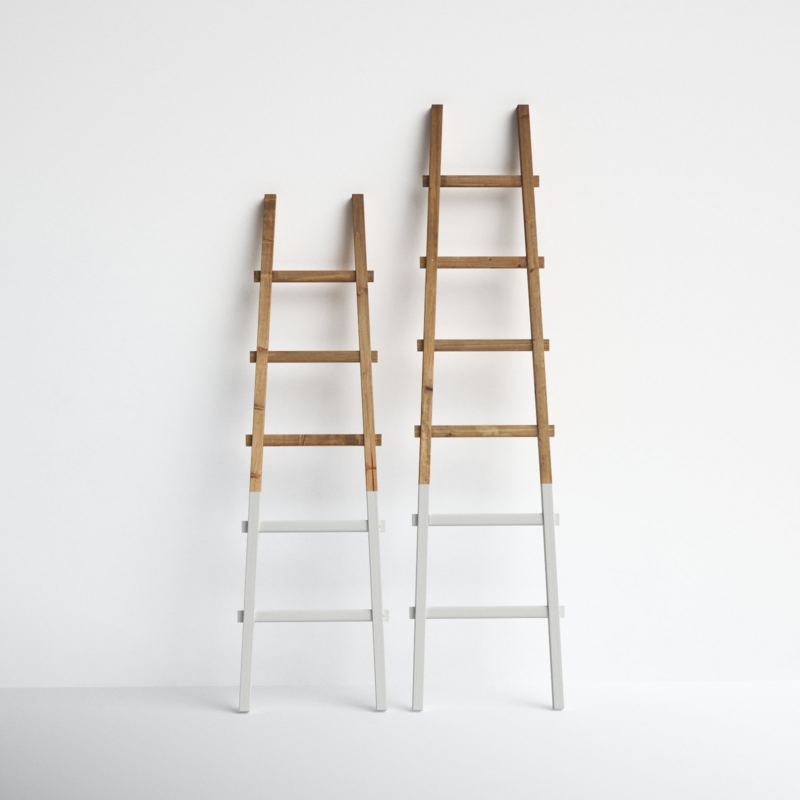 Dipped 6 ft Blanket Ladder