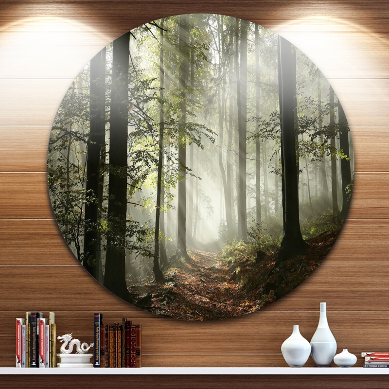 Light In Dense Fall Forest With Fog Artwork