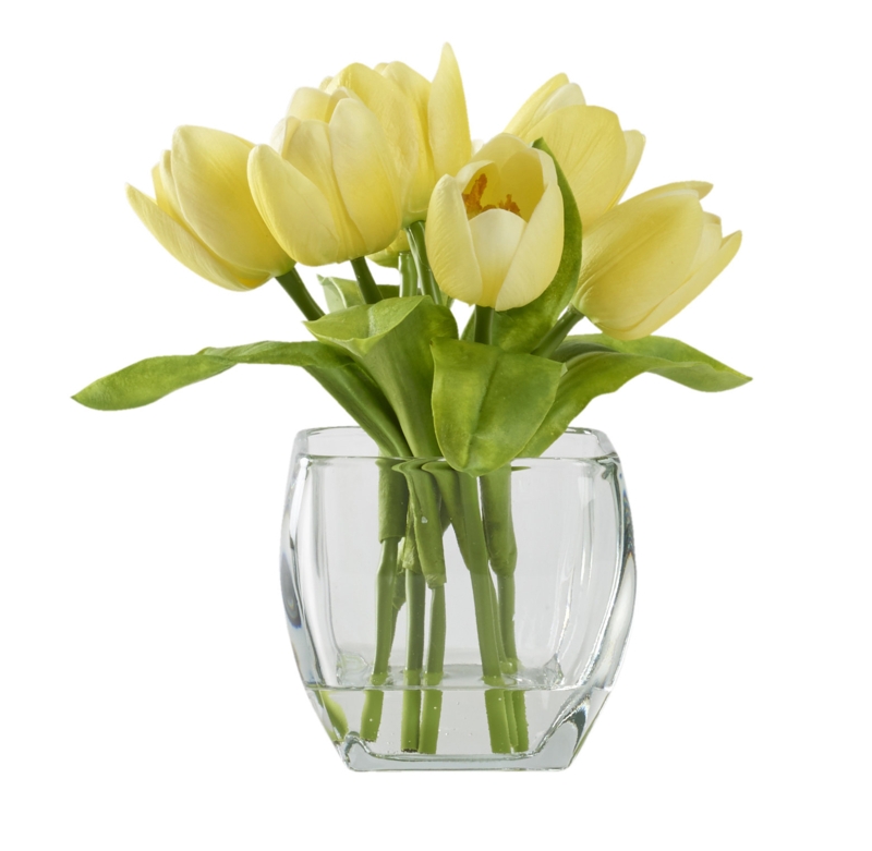 Tulips Arrangement in Vase