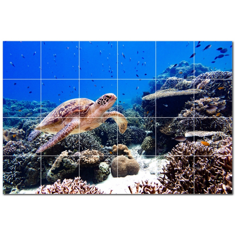 Turtle Photo 8'' x 8'' Satin Ceramic Decorative Mural