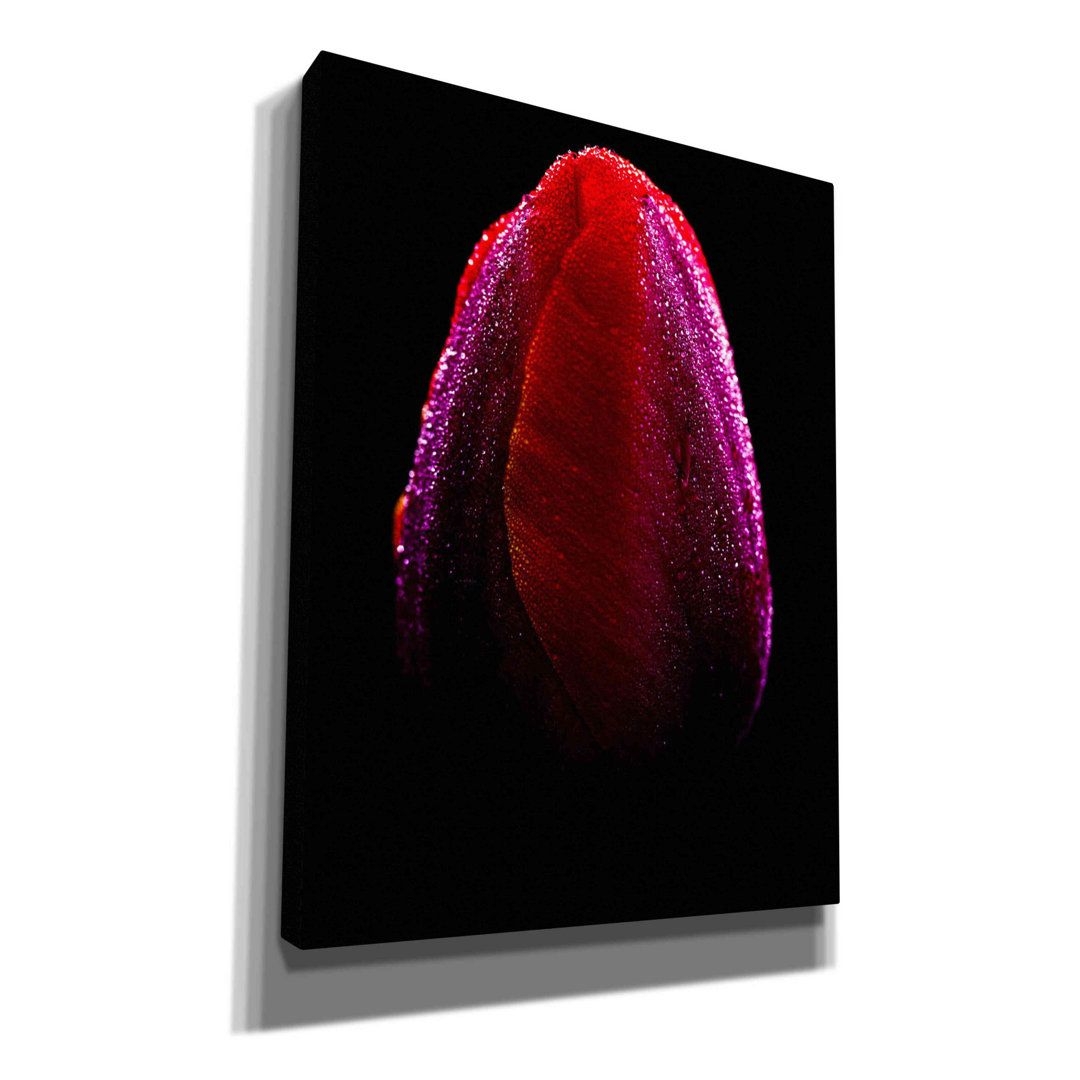 Hokku Designs Wet par Darren White - reproduction d'art sur toile tendue