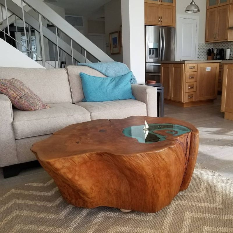 Unique Tree Stump Coffee Table with Glass Inlay