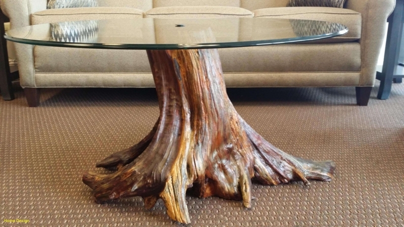 Rustic Glass Top Table with Natural Wood Base