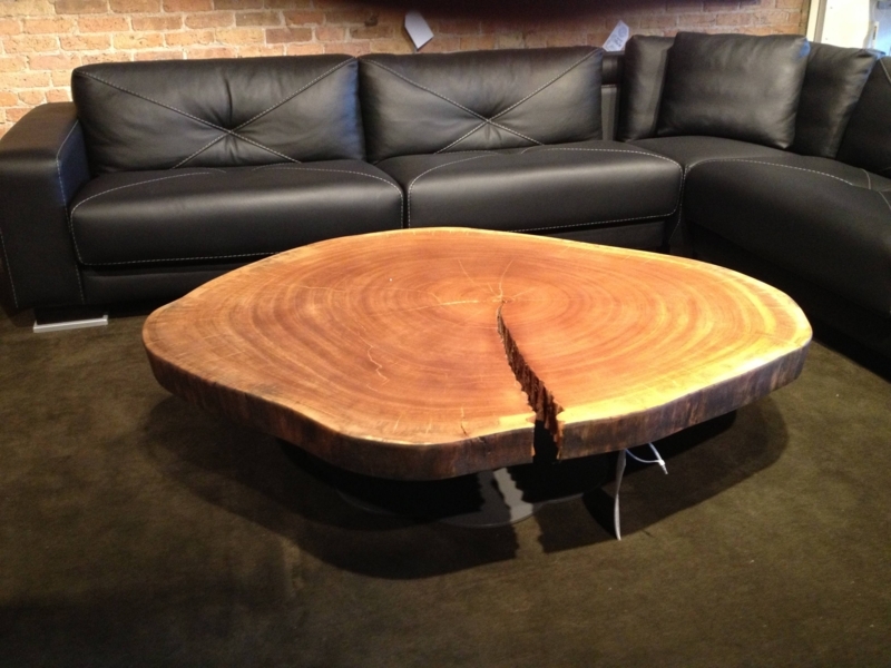 Rustic Tree Trunk Coffee Table with Modern Sofa
