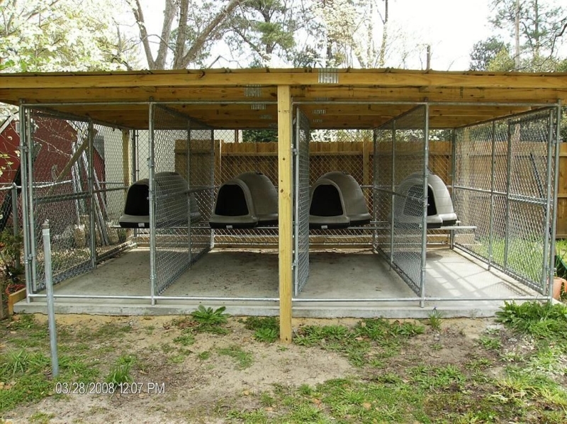 Durable Outdoor Multi-Dog Kennel Design