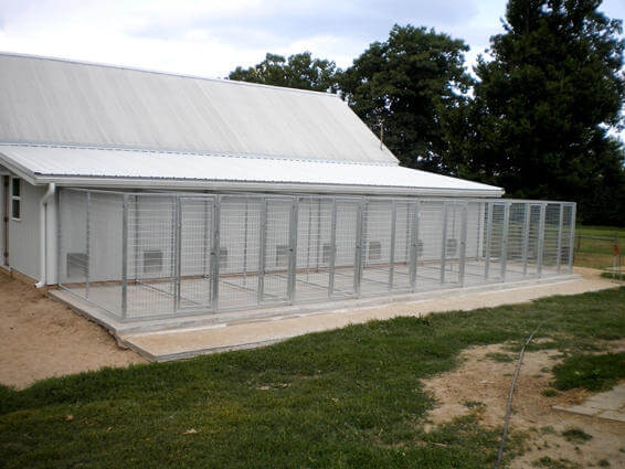 Durable Outdoor Multi-Dog Kennels with Backless Design