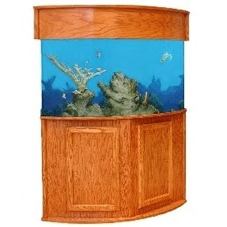 Elegant Corner Aquarium with Wooden Stand