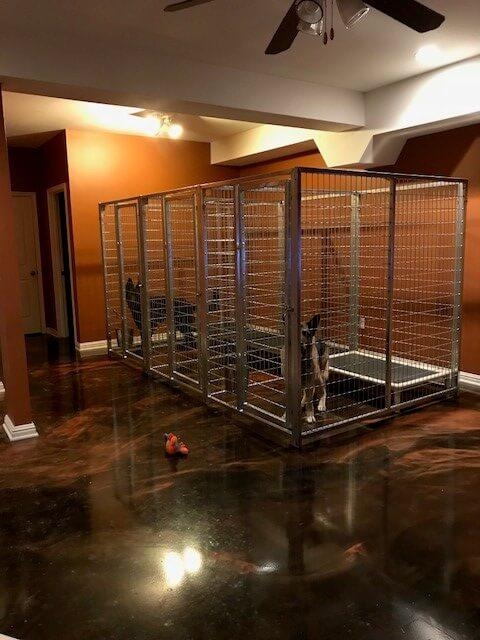 Indoor Multi-Dog Enclosed Kennel with Modern Finish