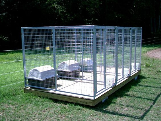 Metal Enclosed Multi-Dog Outdoor Kennel
