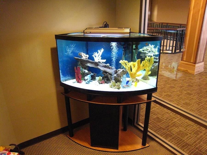 Modern Corner Aquarium Stand with Coral Decor
