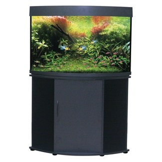 Modern Corner Aquarium with Black Cabinet Stand