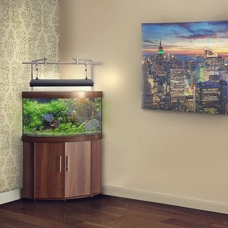 Modern Corner Aquarium with Wooden Stand