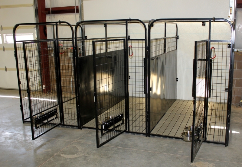 Modern Indoor Multiple Dog Kennels with Metal Frames