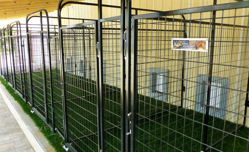 Modern Outdoor Metal Dog Kennels with Grass Flooring