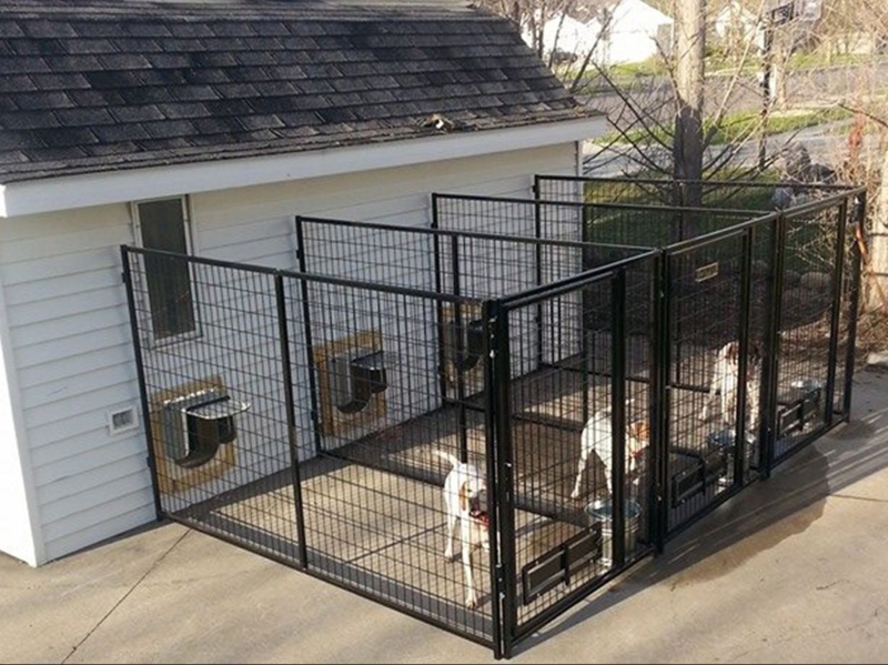 Outdoor Multi-Dog Kennels with Indoor Access