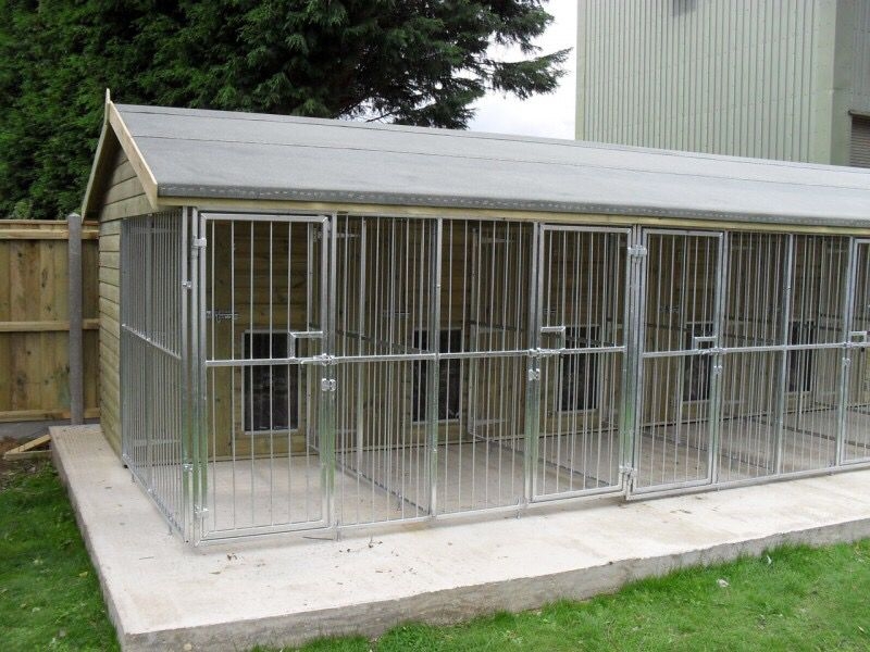 Outdoor Multiple Dog Kennel with Secure Metal Cages