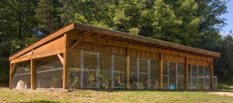 Outdoor Wooden Multiple Dog Kennel with Chain Link Fencing