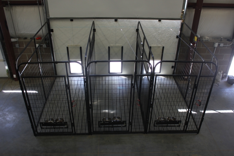 Spacious Industrial Dog Kennels with Feeding Stations