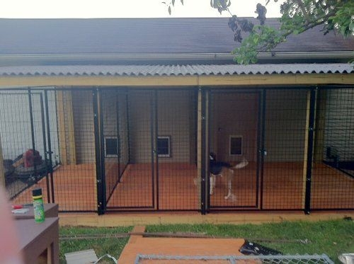 Spacious Multiple Run Dog Kennel with Secure Cages
