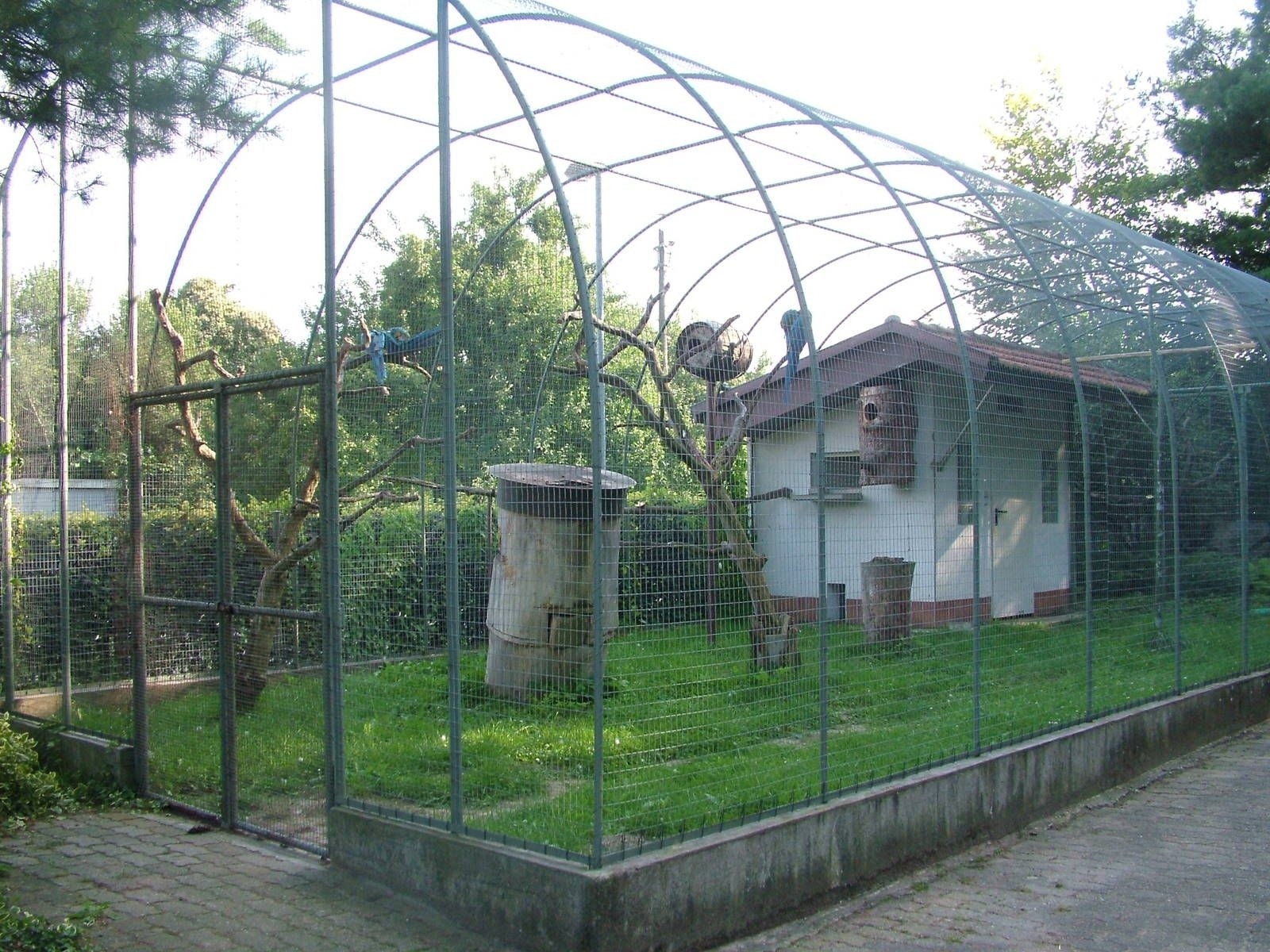 large indoor parrot cage