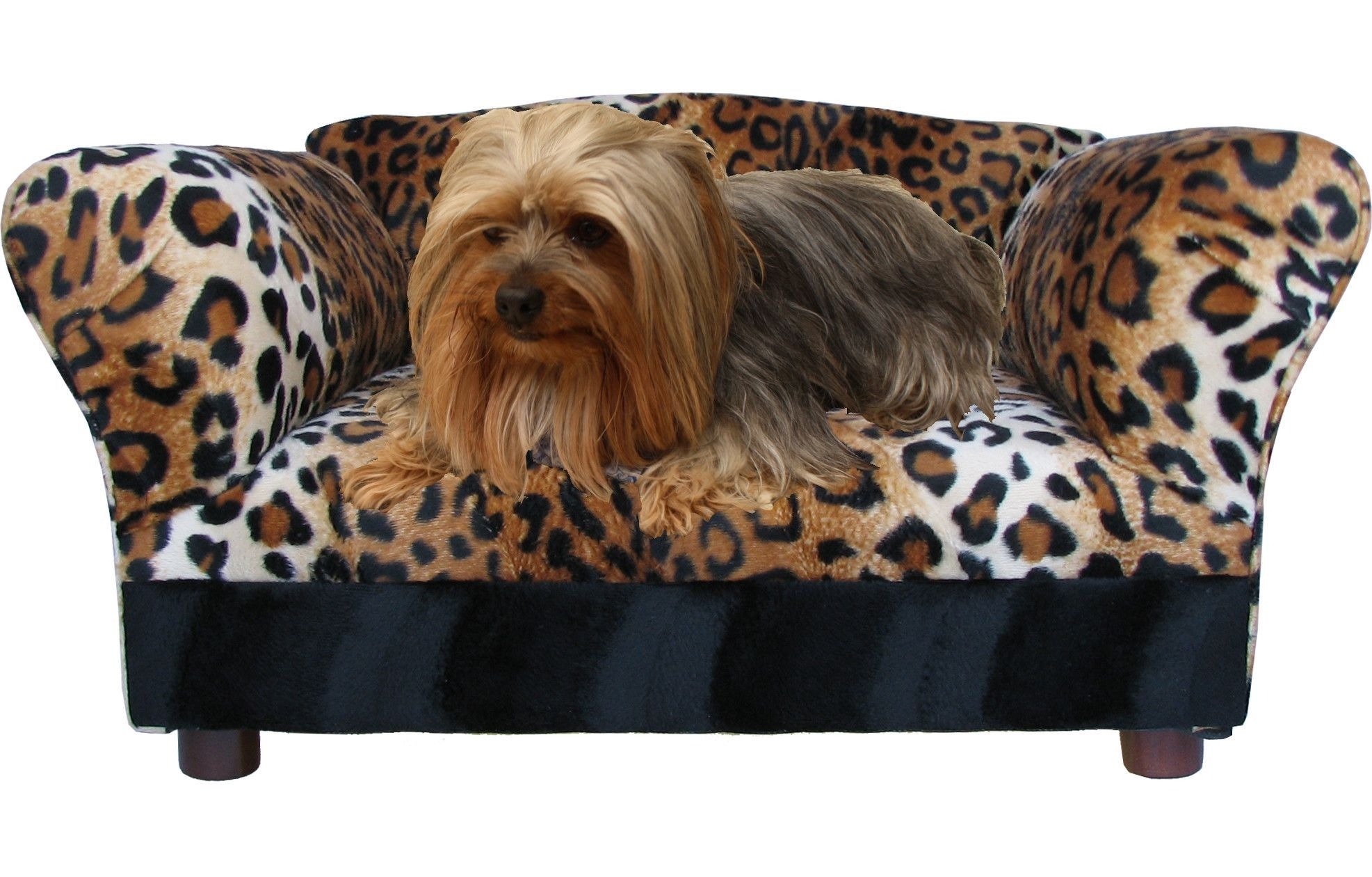 cheetah-print-dog-bed-ideas-on-foter