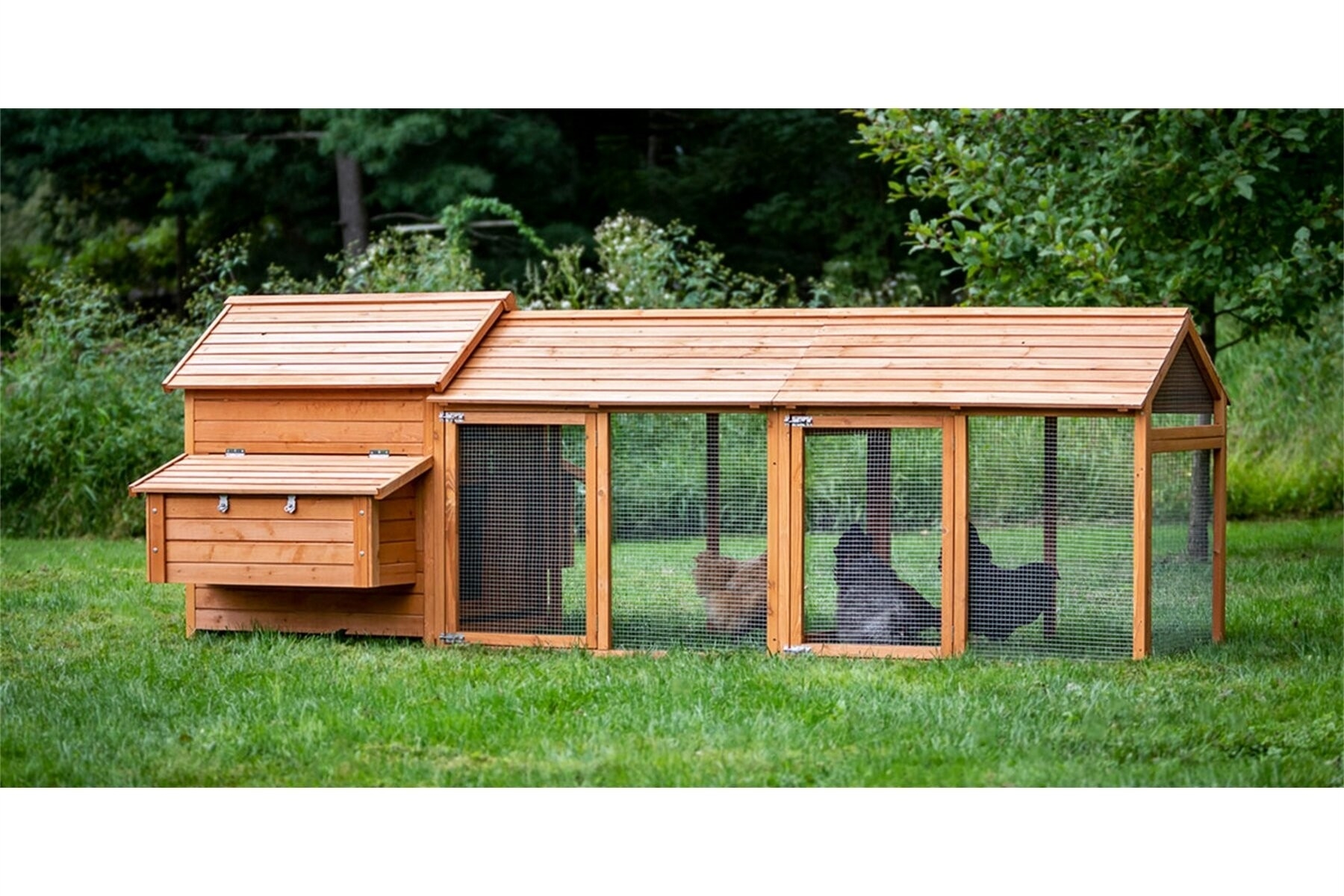 Sturdy Spacious chicken coop netting for Varied Animals 