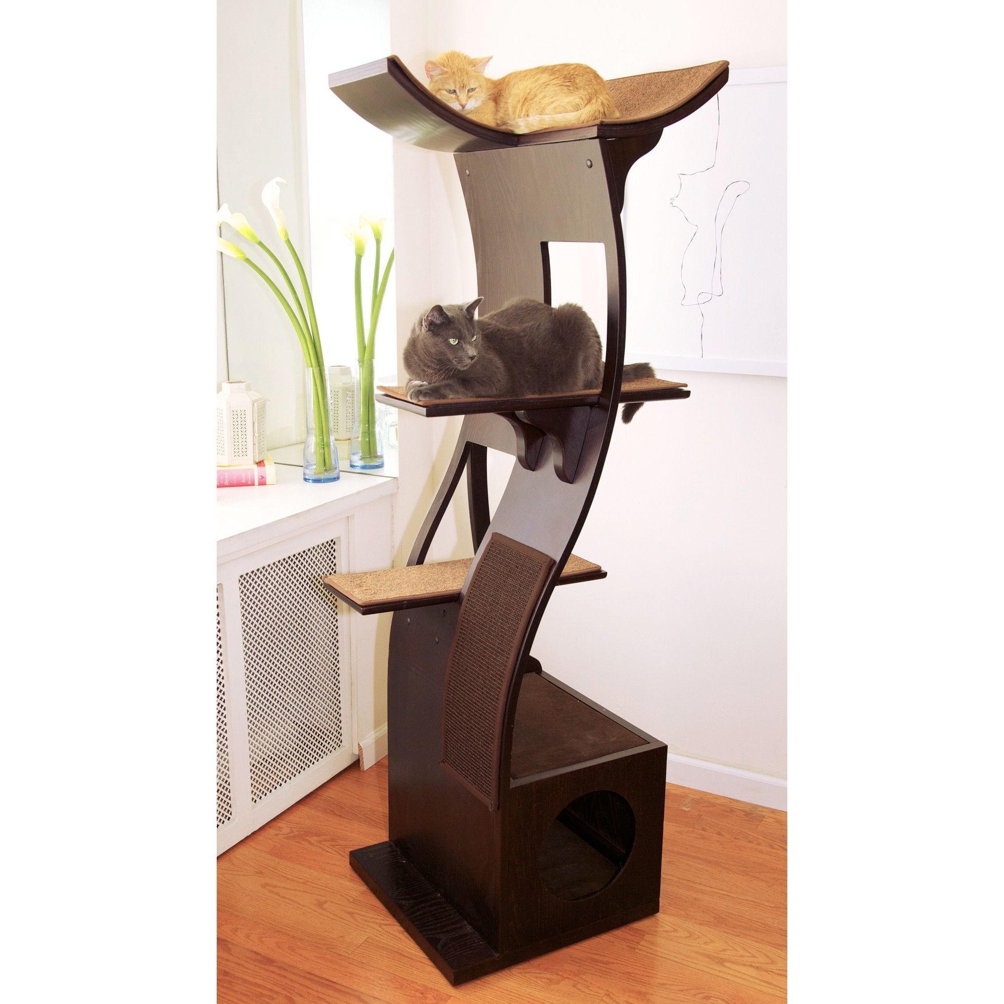 Large Cat Tree Furniture Cat Condos Ideas On Foter