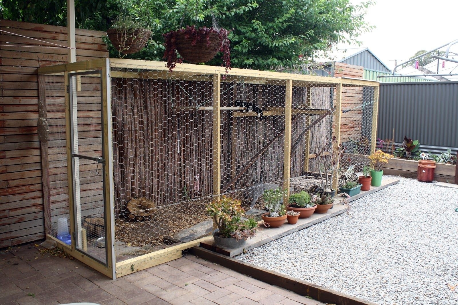 Outdoor Cat Enclosures For Foter