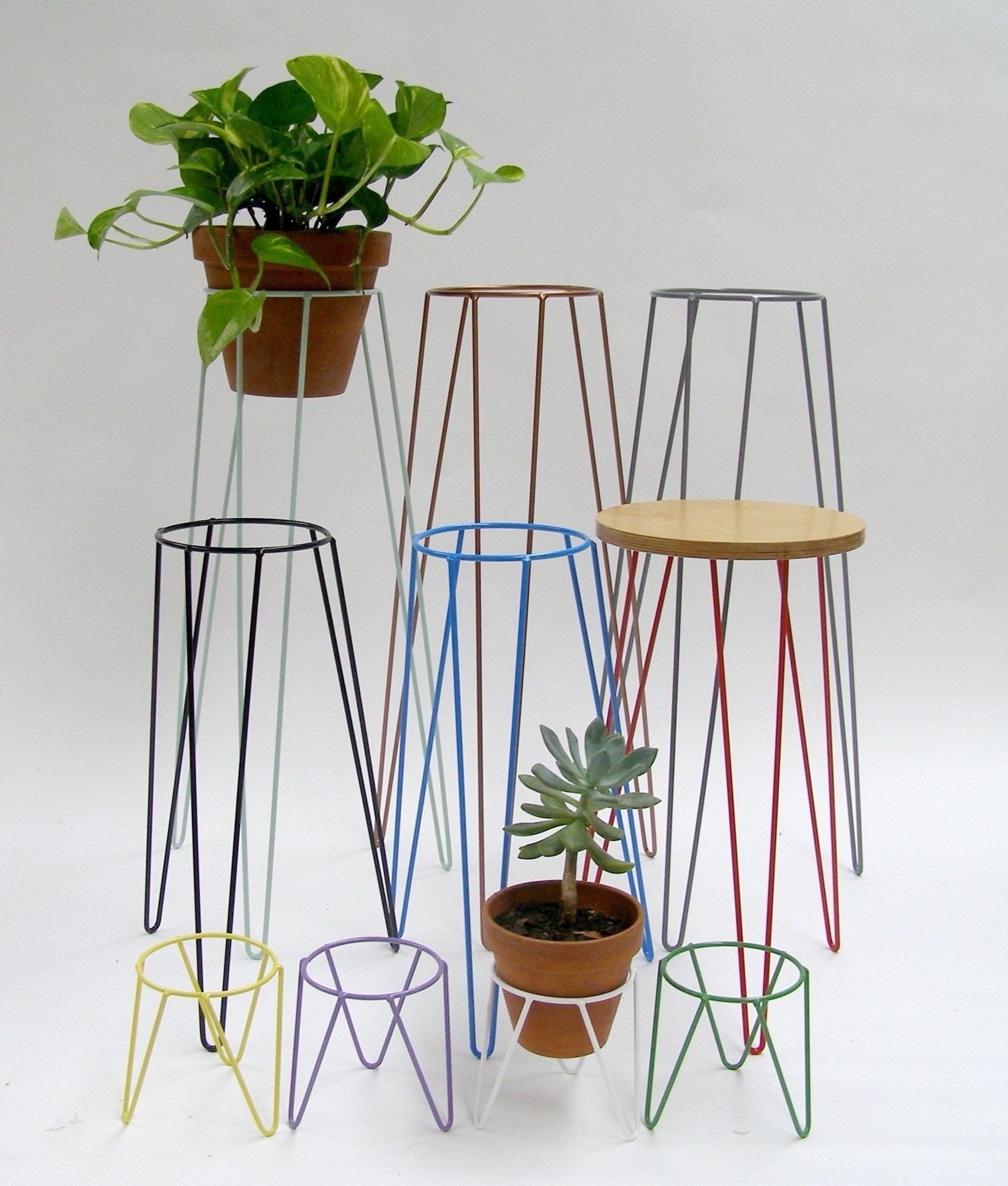 Plant Stand Metal Ideas On Foter