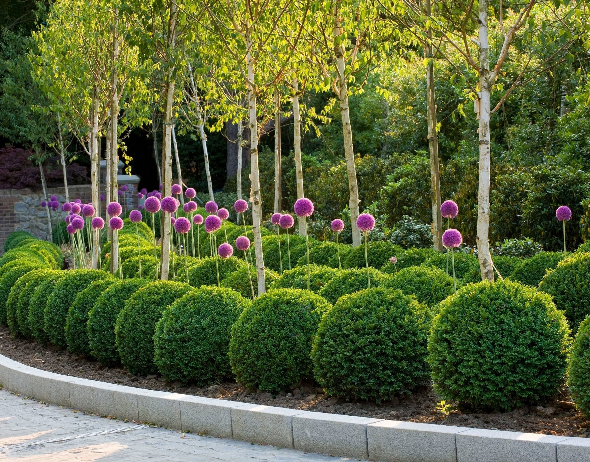 Topiary Trees - Photos All Recommendation