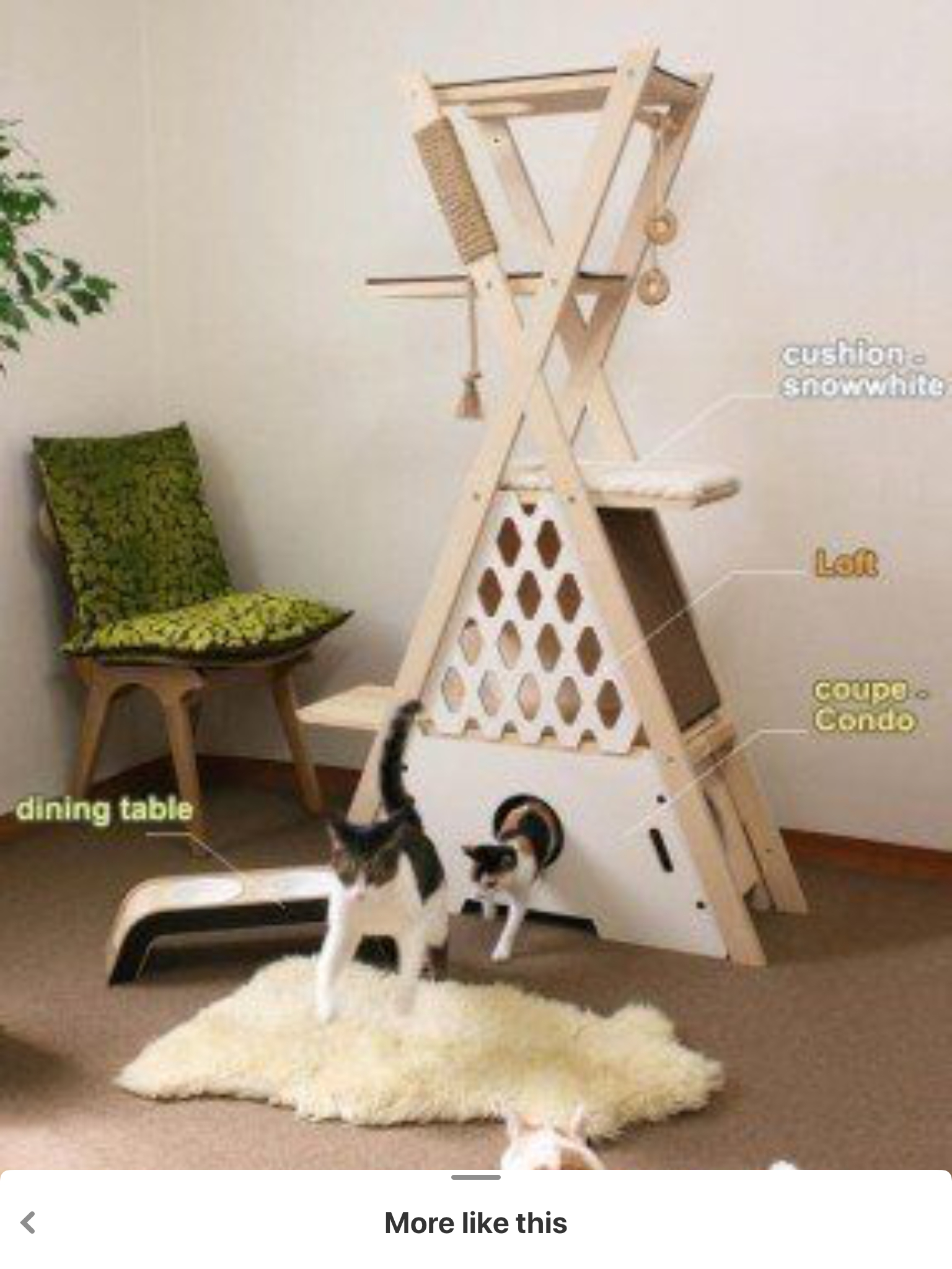 Cat Condo download the last version for android